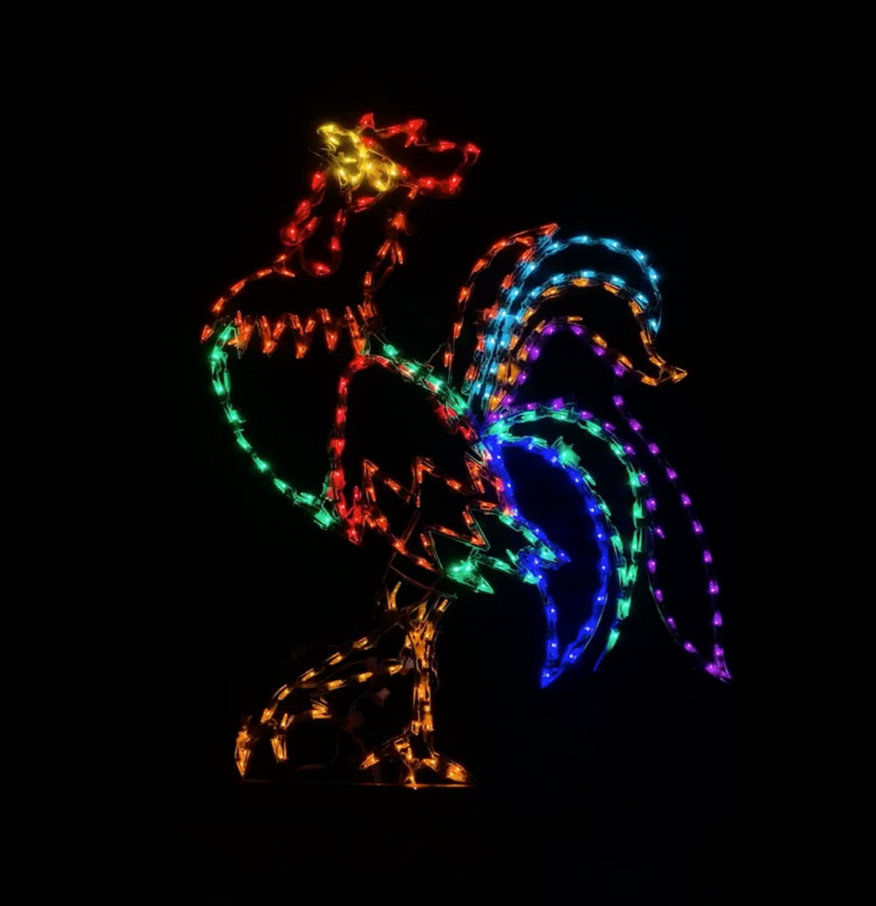 Lighted rooster at Holiday Walkthrough Light Show at Brookhollow's Barnyard in Boonton