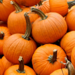 Small Sugar Pumpkins