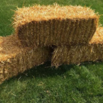 Straw Bale